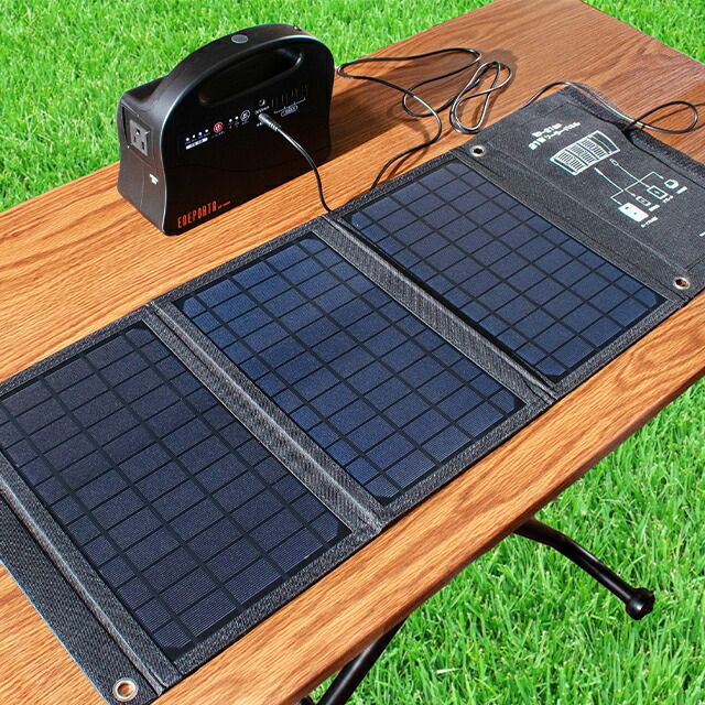 クマザキエイム