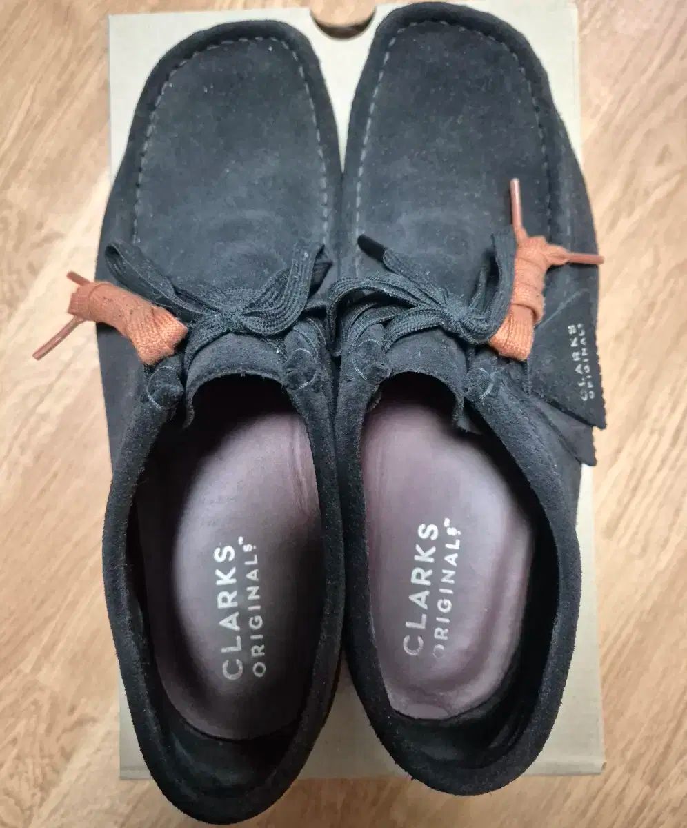 ワラビー ブラック