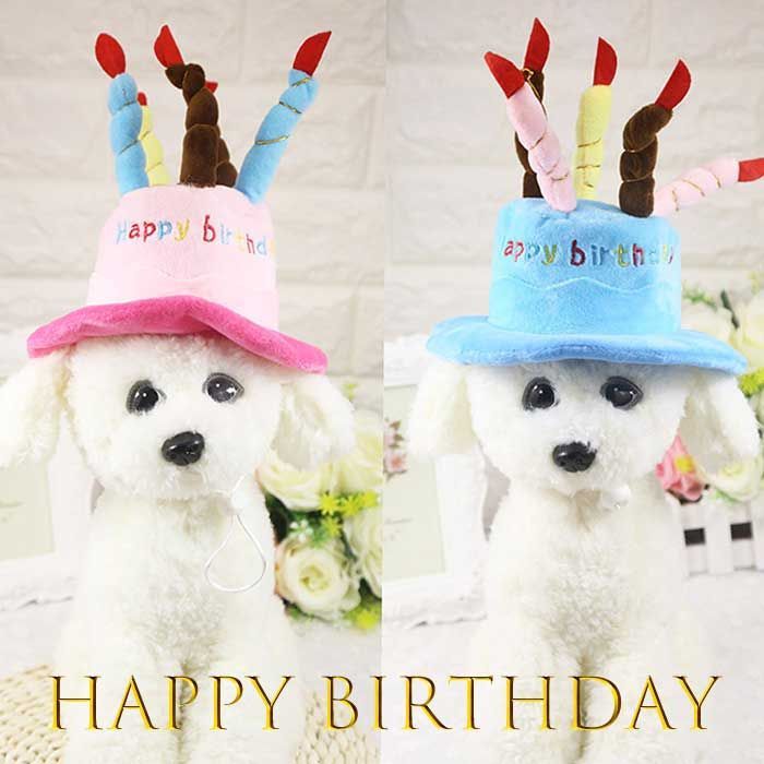 メルカリshops 犬 猫 服 帽子 誕生日 ハッピー バースデー ケーキ お祝い 記念 写真 撮影 メルカリshops 犬 猫 服 帽子 誕生日 ハッピー バースデー ケーキ お祝い 記念 写真 撮影