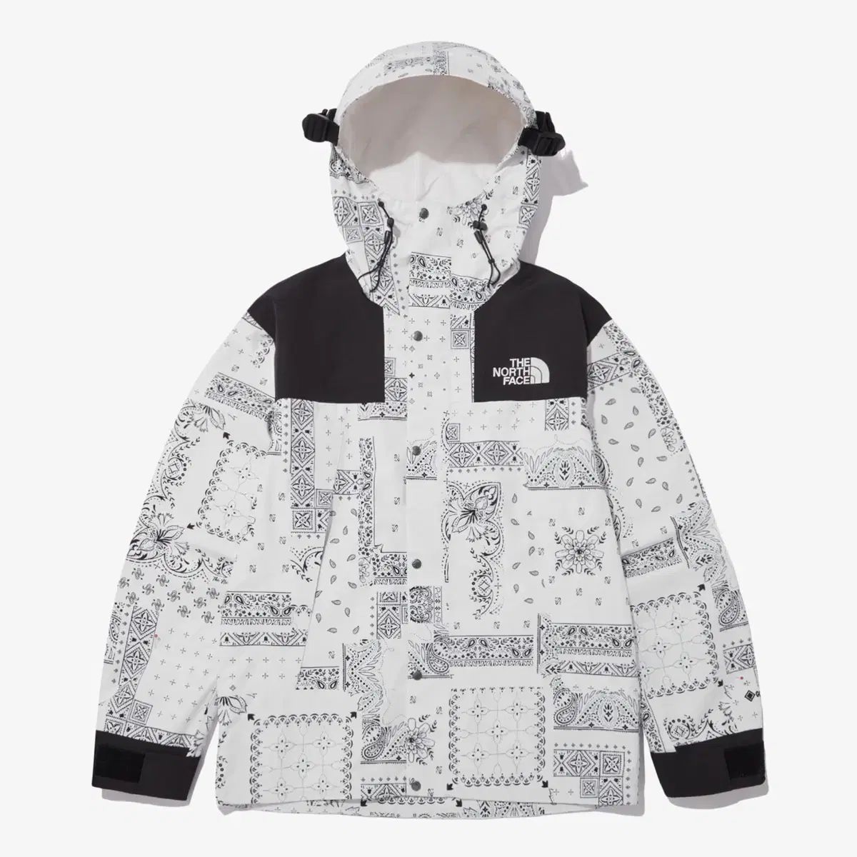THE NORTH FACE ザ ノース フェイス エコー GORE-TEX₍ゴアテックス マウンテン ジャケット NJ2GN60C