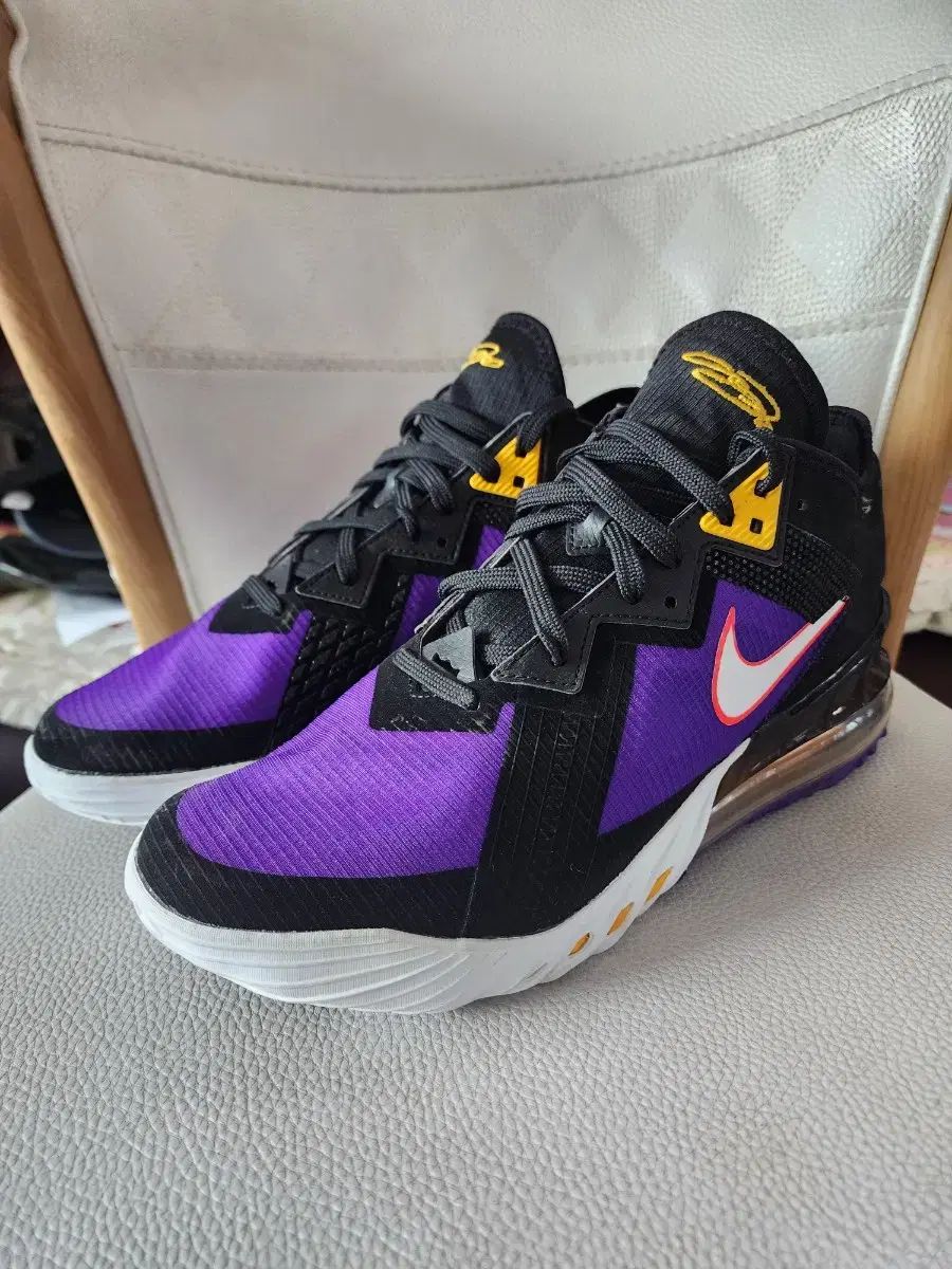 NIKE(ナイキ) レブロン 18 ロー ACG 見よ 新品 275