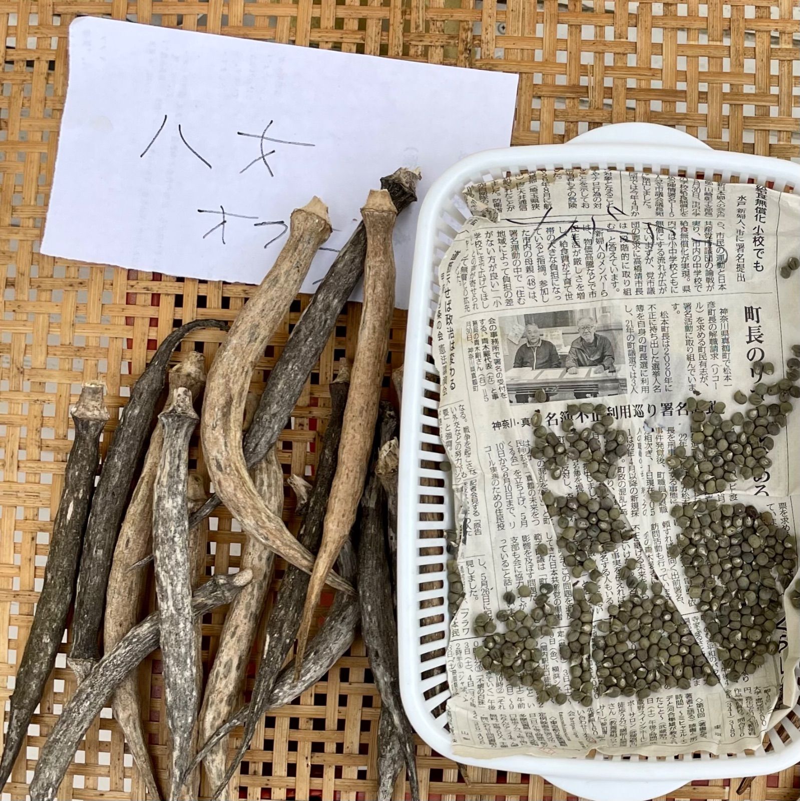 白オクラの種子と八丈オクラの種子　各15粒　固定種・有機の種子セット