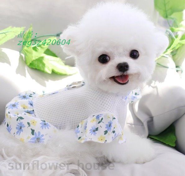 ペット服 犬服 花柄 カラフル お散歩 涼しい イベント かわいい
