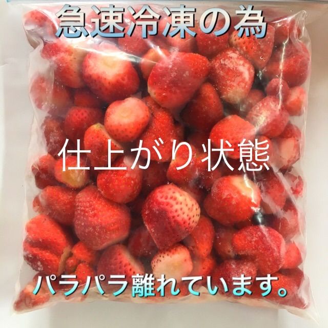 冷凍イチゴ　とちおとめ　1.5kg-2