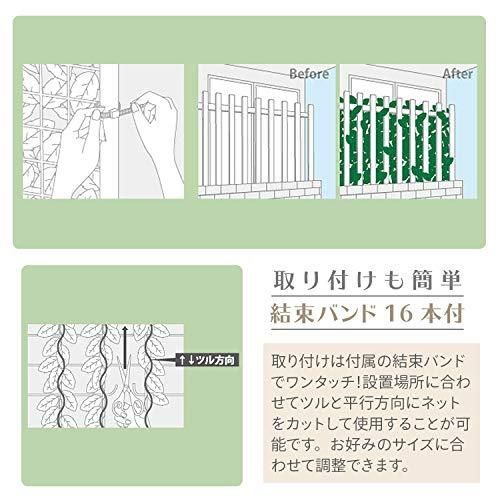 グリーンフェンス グリーンカーテン