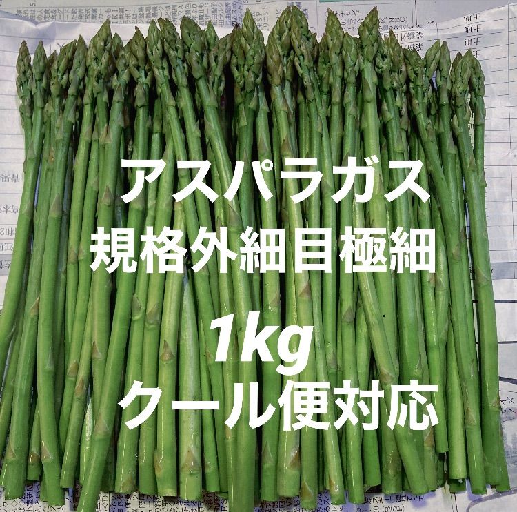 アスパラガス 新鮮 細目極細 1kg - 野菜