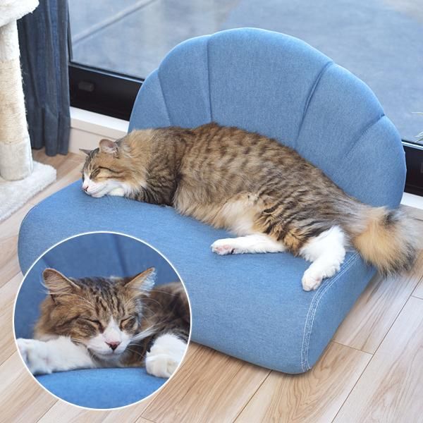 ペット用ソファ 猫 ネコ ねこ 小型犬 イヌ いぬ ミニサイズ ソファー シェル型 貝 モチーフ デニム風生地 おしゃれ インテリア カジュアル かわいい リビング azm-pet-65