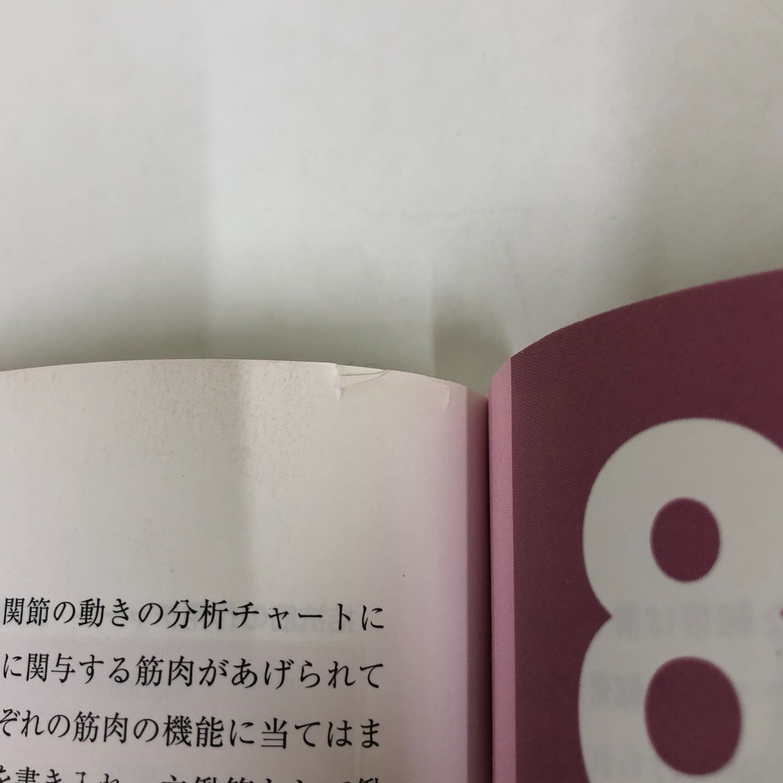 K]身体運動の機能解剖 Clem W. Thompson R. T. Floyd 中村 千秋