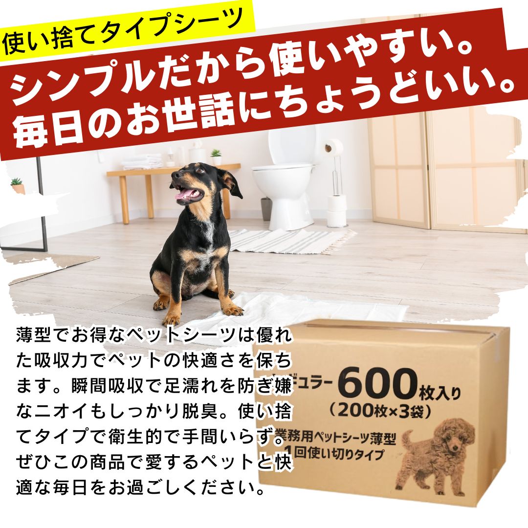 超吸収 消臭