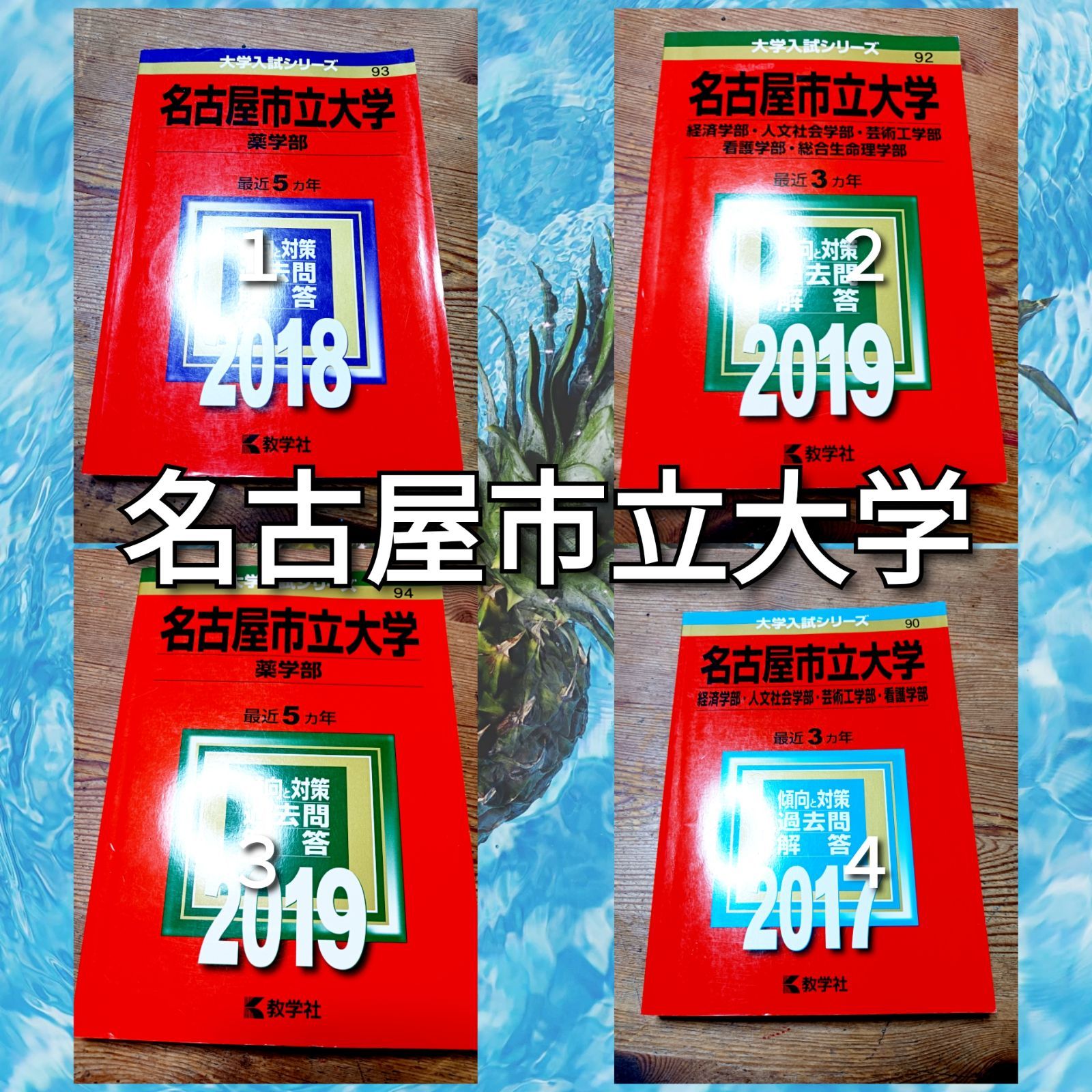 大阪市立大学 文系 '９４赤本 - 参考書