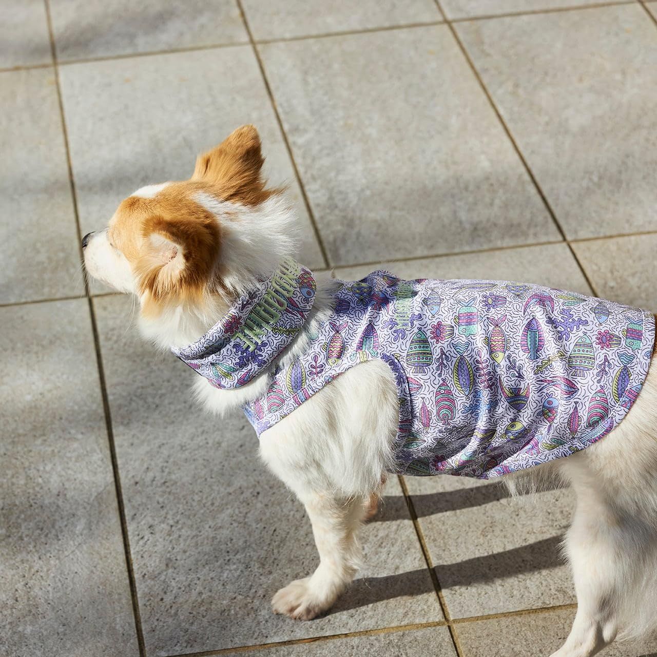 犬用品 MANDARINE BROTHERS マンダリンブラザーズ CCLクーリングタンク