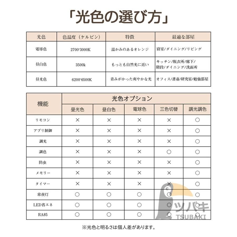 洋室照明