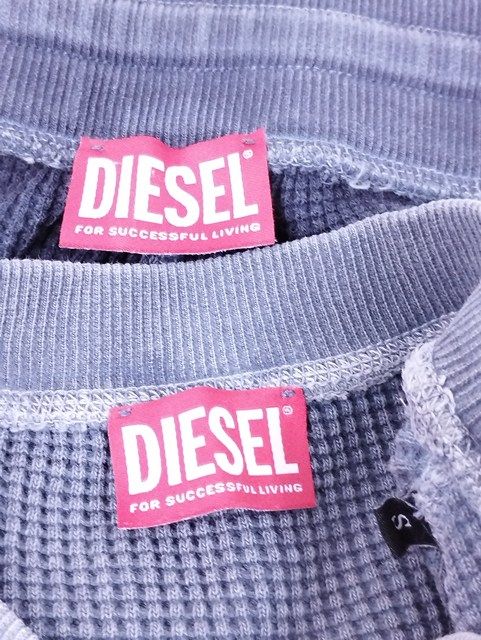 T444 [人気] DIESEL ディーゼル スウェット S ブルー系 ロゴ