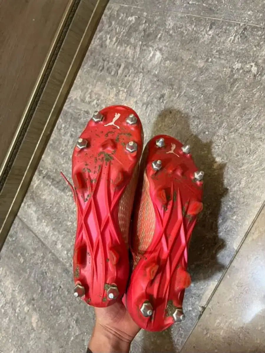 PUMA