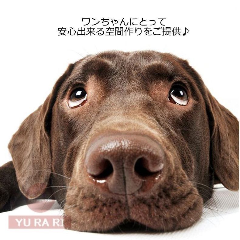 犬小屋