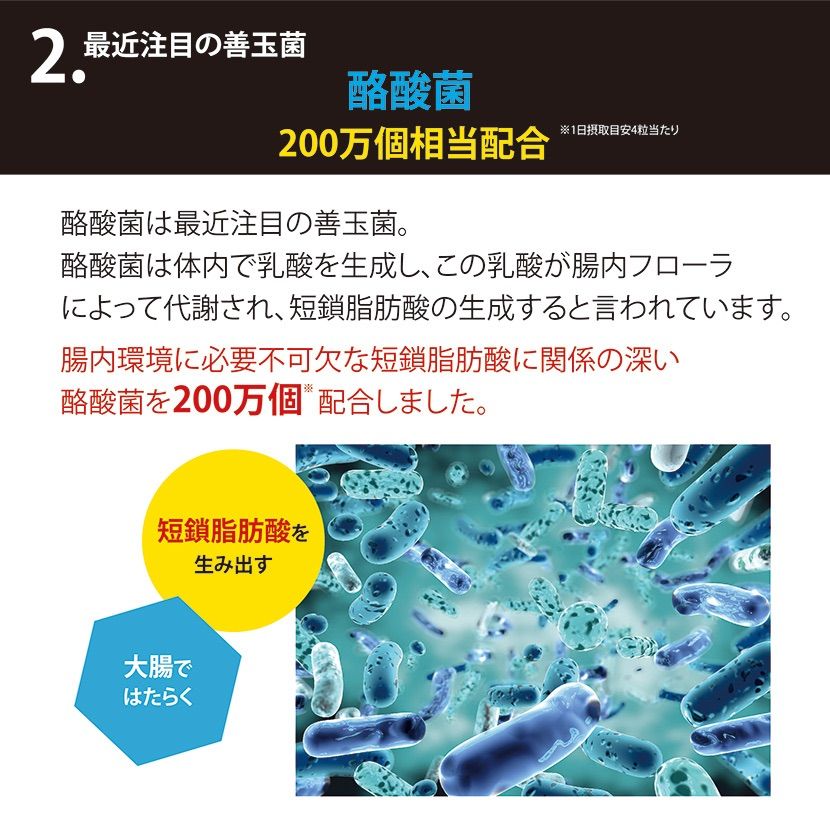 お試し3日分 リタヘルス5000 乳酸菌5000億個 酪酸菌200万個 ビフィズス菌10億個