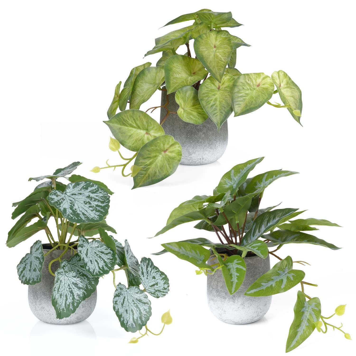 人気商品】鉢 植物 水やり不要 緑 おしゃれ お世話不要 小さい鉢植え 