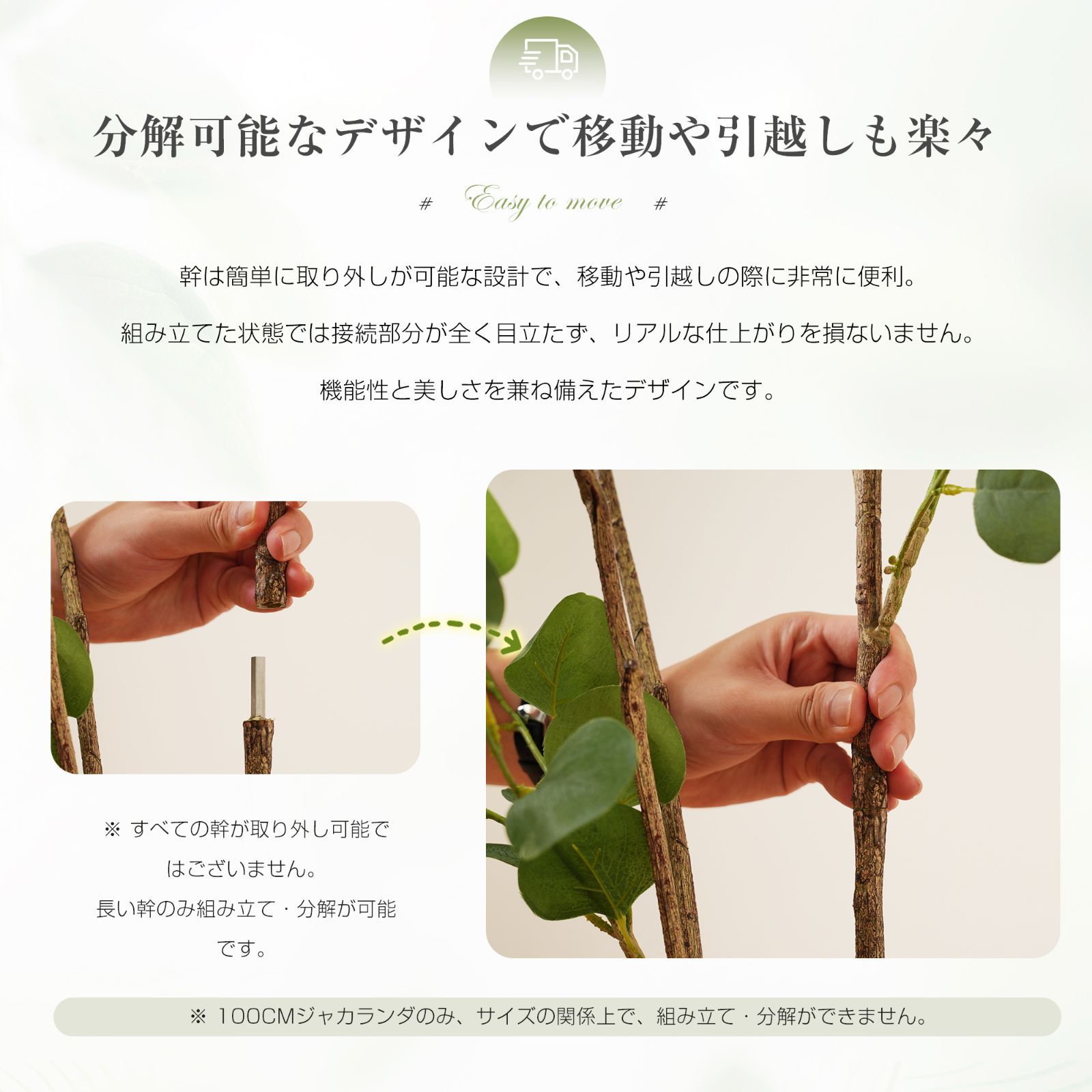 大型迫力