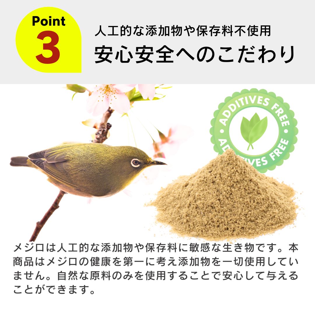 オカメインコ コザクラインコ