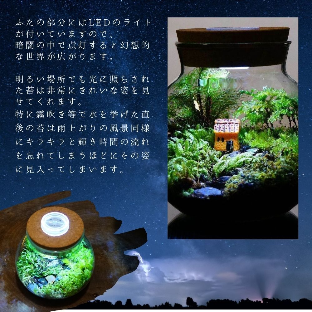 苔