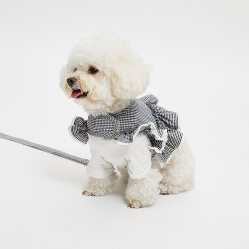 louisdog ルイドッグ