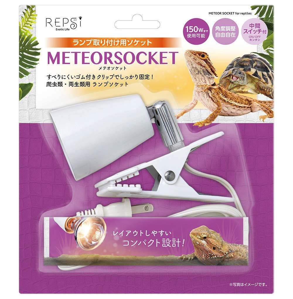 BEAMS BOY ブレザー セットアップ BLACK WATCH