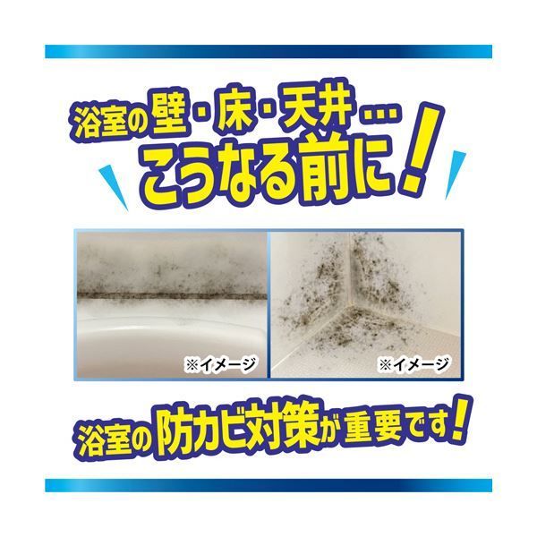 まとめ リベルタカビダッシュ 防カビ バイオバスター 1個 ×5セット SKLAD-KIRPICHA_RU