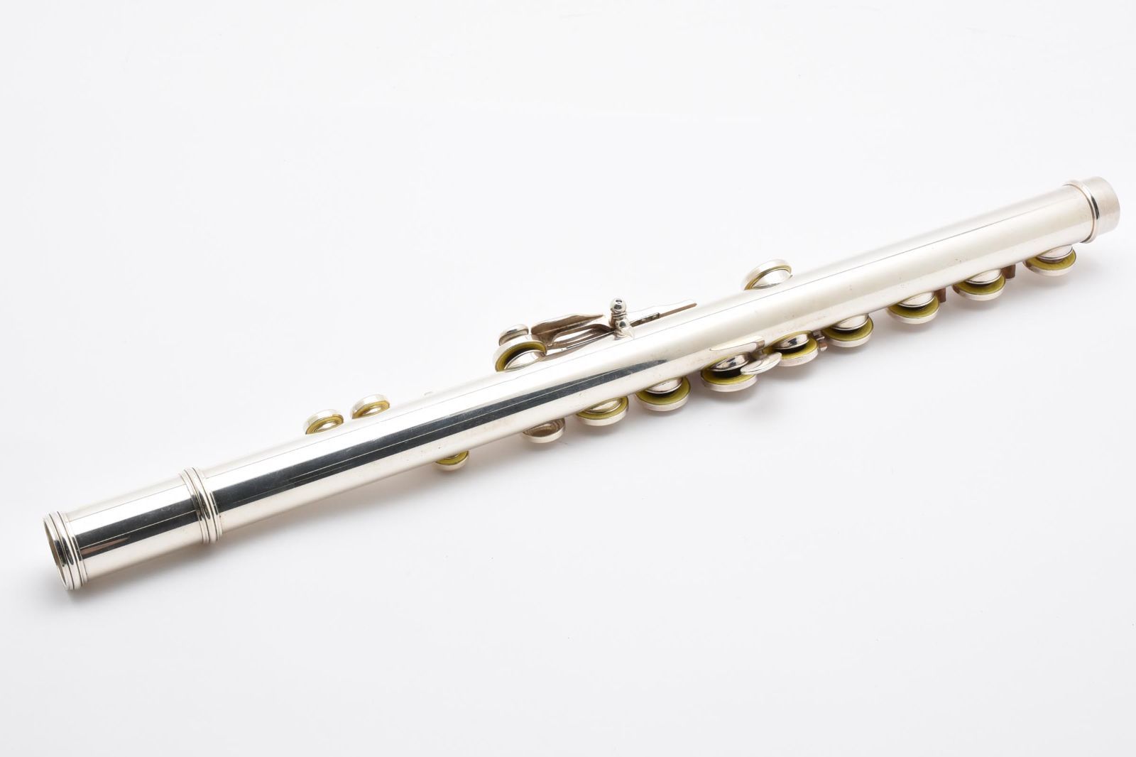 モデル ケース付