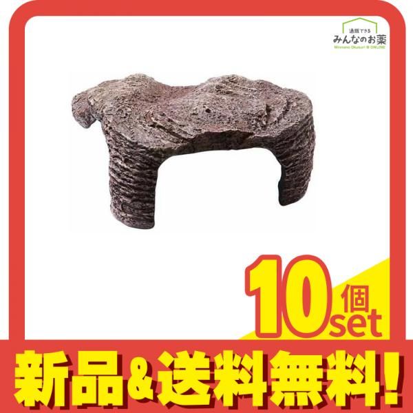 GEX カメ元気 カメの島 M-1 1個入 10個セット まとめ売り