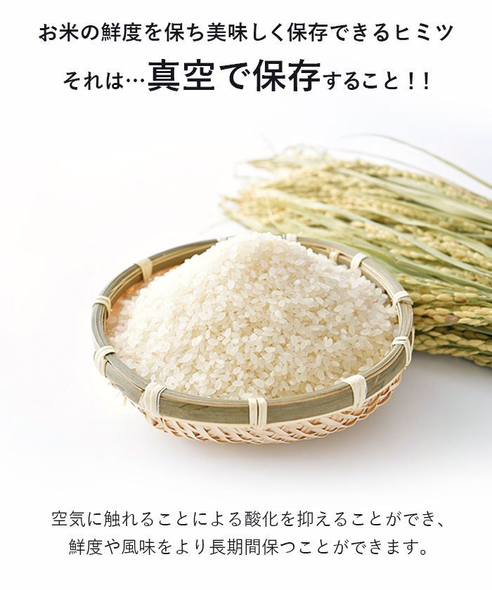 真空保存 密閉米びつ