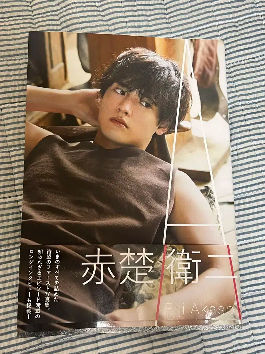 赤楚衛二　写真集・本・雑誌　27冊 赤楚衛二 写真集・本・雑誌 27冊 赤楚衛二 インタビュー＆フォト