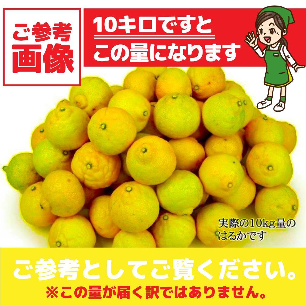 のサムネイル
