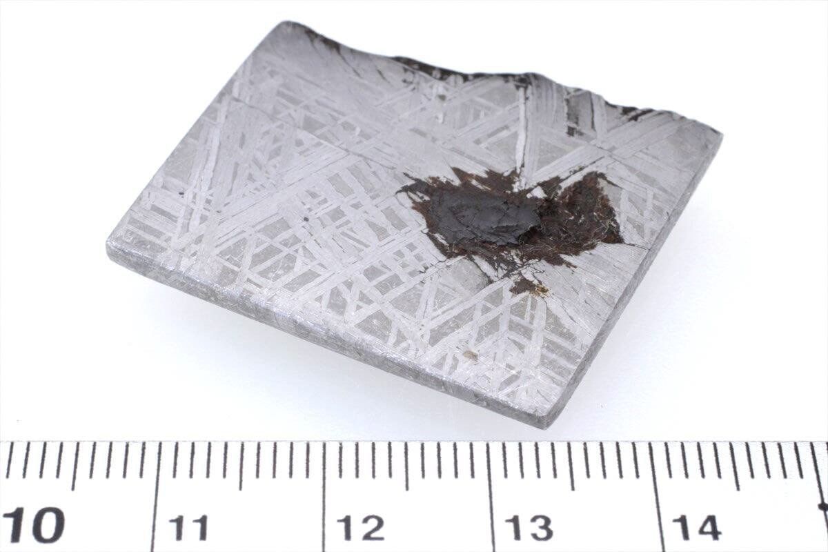 ムオニナルスタ ムオニオナルスタ 21g スライス カット 標本 隕石 