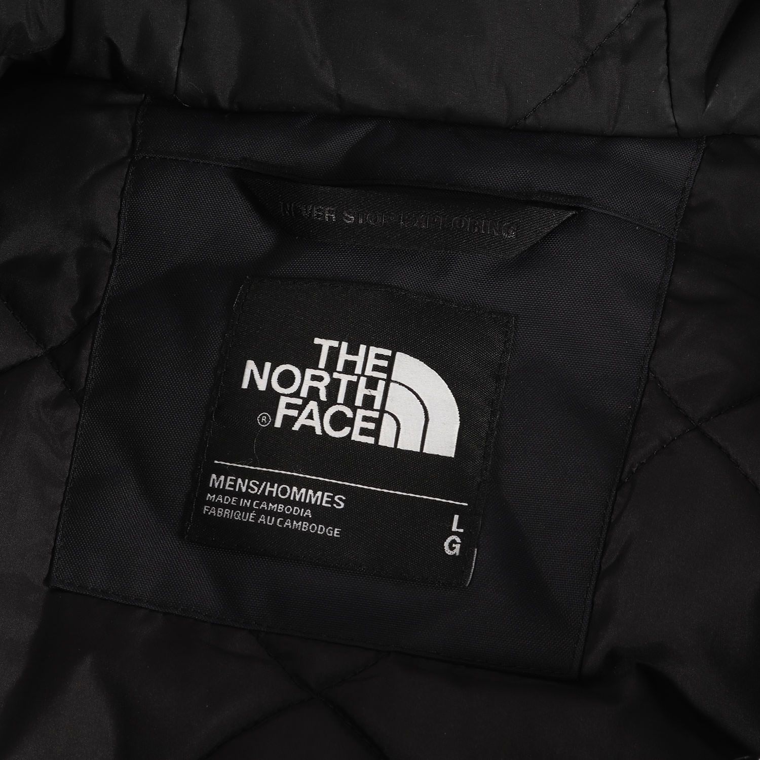 THE NORTH FACE ザ ノースフェイス ジャケット サイズ:L フェイク 