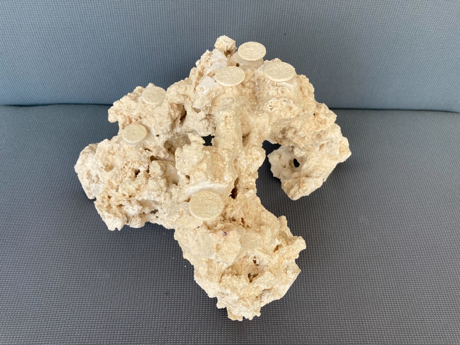 一点物 マルコロック カスタムフラグベース ５４１７７９ 海水水槽用 サンゴ水槽向け レイアウトストーン