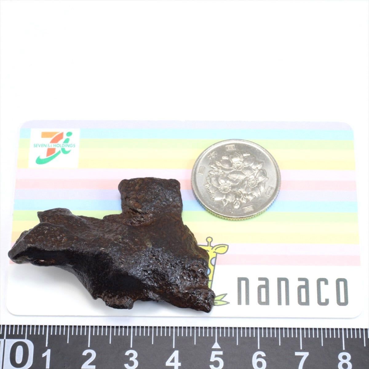 ゲベルカミル 隕石 47.1g アタキサイト 鉄隕石 標本 Gebel Kamil