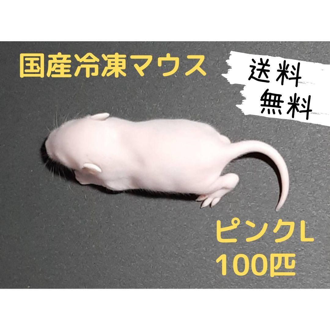 国産冷凍マウス ファジーL 50匹 (一部地域発送不可)（一部地域