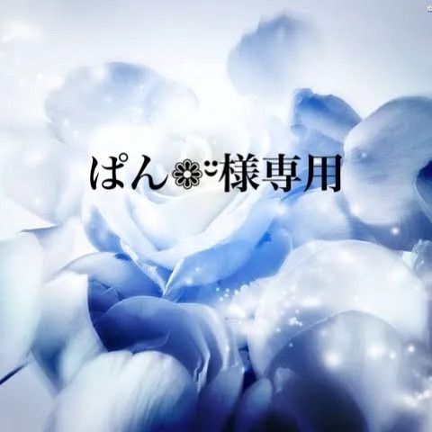 ぱん¨̮様専用 ぱん¨̮様専用