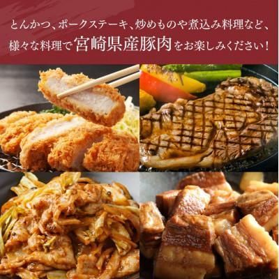 川南町 ヒルナンデスで紹介!宮崎県産豚肉6種
