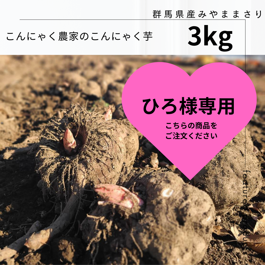 こんにゃく芋　3キロ　ひろ様専用ページ