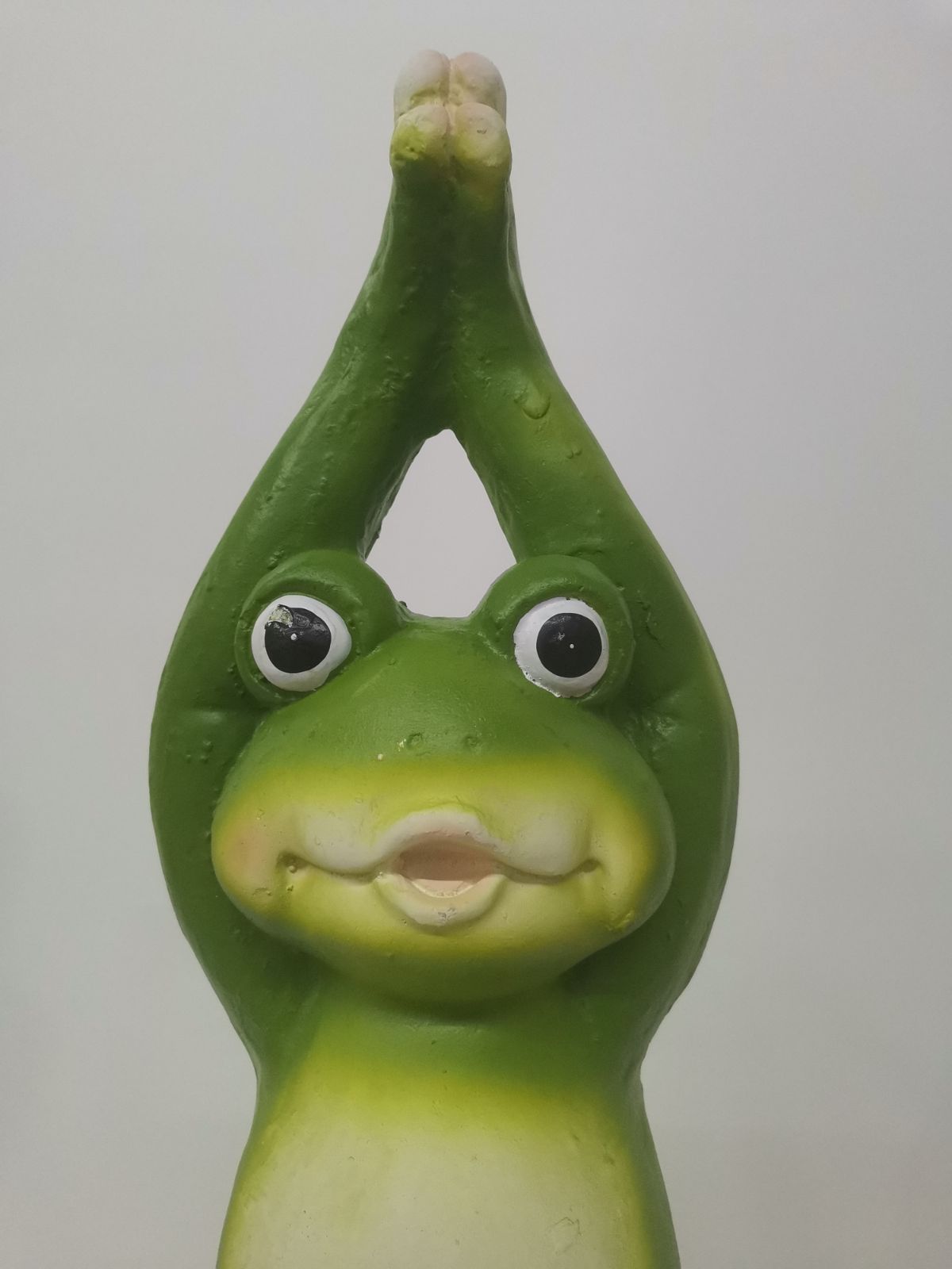 ヨガをしているカエル かえる
