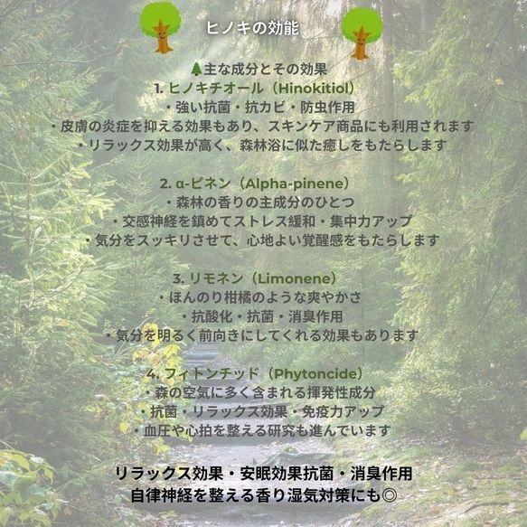森の香りを贈るナチュラルリース直送ok 開店