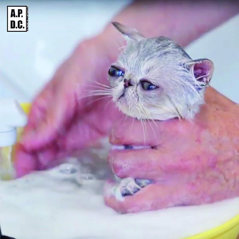 A.P.D.C. 猫用プロフェッショナル