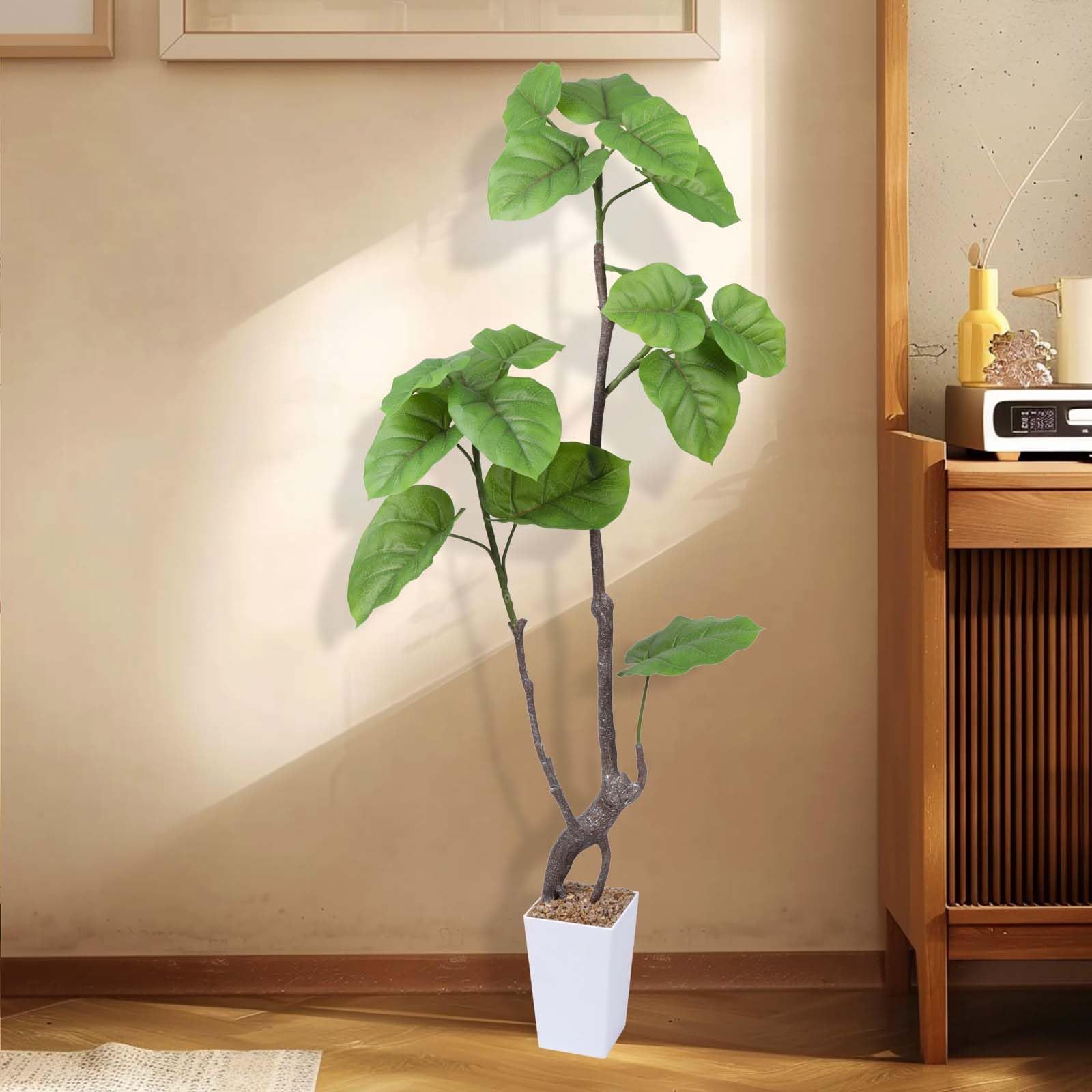 122cm 観葉樹
