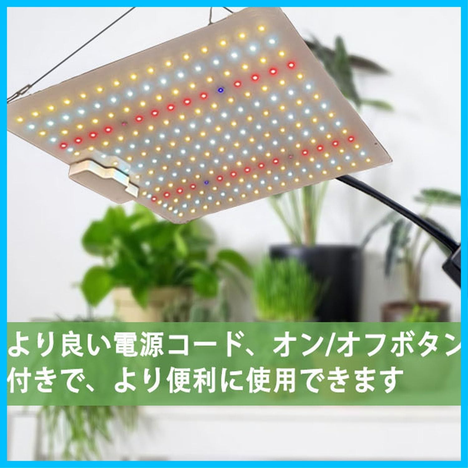 室内栽培