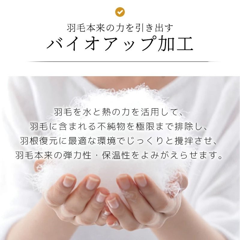 バイオアップ加工 清潔