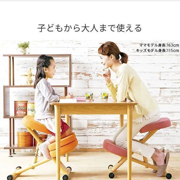 宮武製作所 プロポーションチェア 補助クッションなし 身長140cm～ 節約