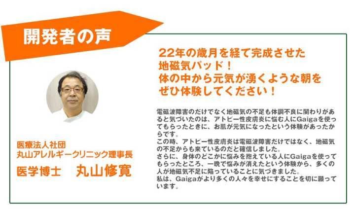Gaiga ガイガ