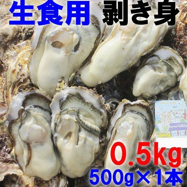 「生食用牡蠣剥き身 500ｇ１本」 宮城県産 牡蛎 むき身 松島牡蠣屋 カキ生食用牡蠣 牡蠣生食用 カキ 牡蛎 BBQ  贈答品 kaki 松島牡蠣屋 かき バーベキュー 海産物 海鮮 貝類