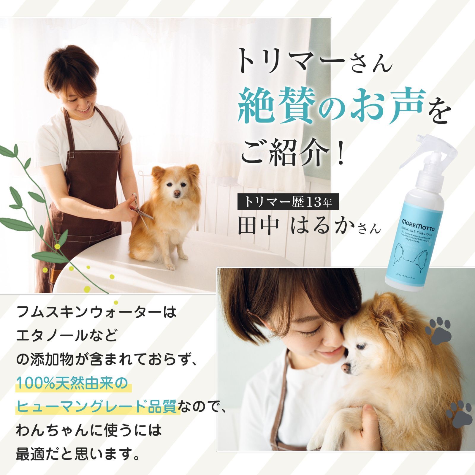 モアモット フムスキンウォーター(ペット専用 全身化粧水) - 犬用品